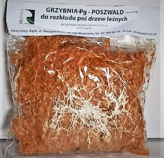 Grzybnia Poszwald